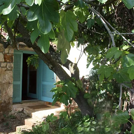 Meerloft, Steinhaus Prem Mit Panorama Meerblick بيت للعطل