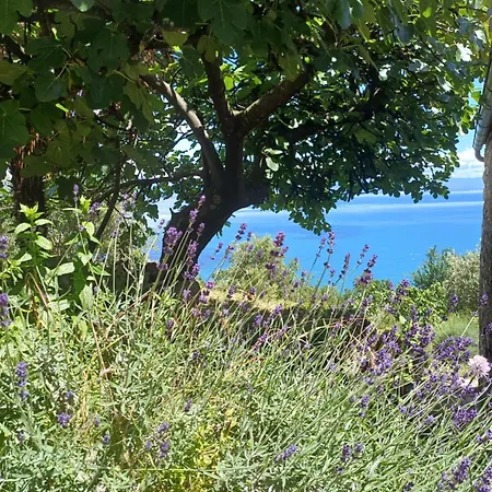Meerloft, Steinhaus Prem Mit Panorama Meerblick Nyaraló *
